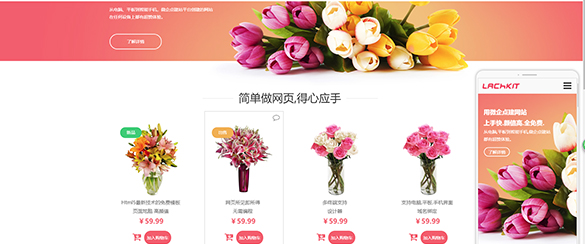 電商行業(yè)網站解決方案